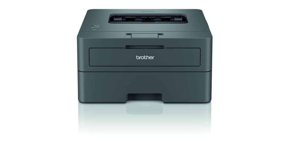 BROTHER HL-2402D